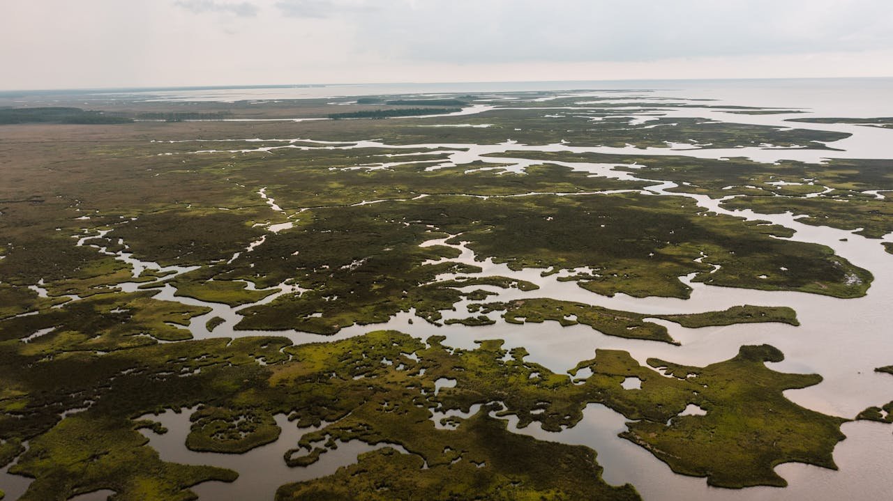 Scenic aerial view of lush wetlands at Moss Point, Mississippi, showcasing nature's intricate waterways.